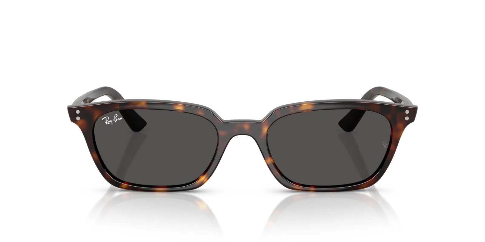 Ray-Ban Zaya 4456F Sunglasses - view 22